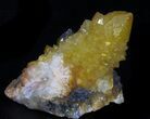 Orange Cactus Quartz Crystal - South Africa #33623-1